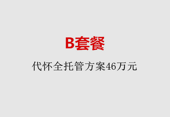 南宁B套餐：代怀全托管方案46万元